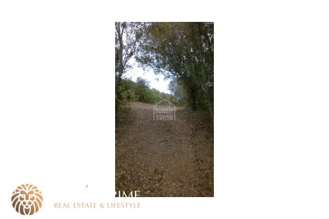 Finca à vendre Mahon, Menorca, Espagne, 5 chambres, 487 m2 No. 11103 - photo 3