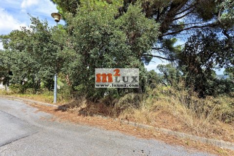 Land plot à vendre à Calonge, Girona, Espagne, 989 m2 No. 16766 - photo 6