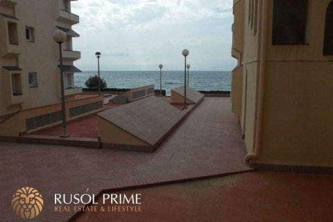 Apartment à vendre Coma-Ruga, Tarragona, Espagne, 2 chambres, 60 m2 No. 11723 - photo 7