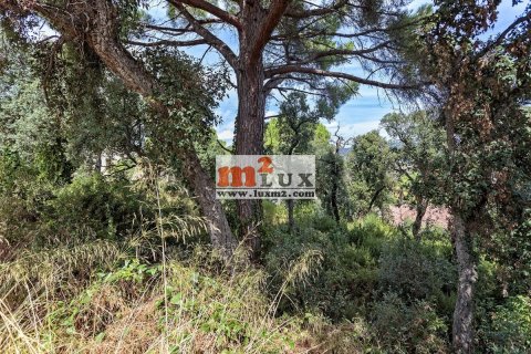 Land plot à vendre à Calonge, Girona, Espagne, 989 m2 No. 16766 - photo 1