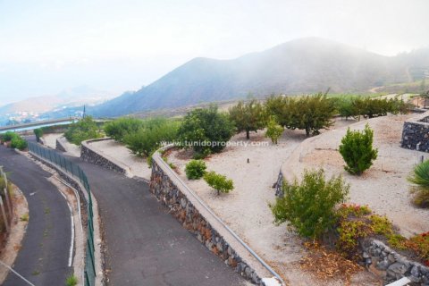 Finca à vendre à Granadilla de Abona, Tenerife, Espagne, 2 chambres, 80 m2 No. 24367 - photo 5