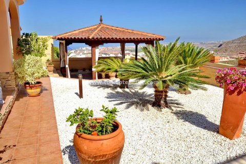Villa à vendre Torviscas, Tenerife, Espagne, 4 chambres, 400 m2 No. 24286 - photo 6