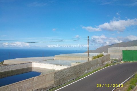 Finca à vendre à Guia de Isora, Tenerife, Espagne, 2 chambres, 80 m2 No. 24351 - photo 4