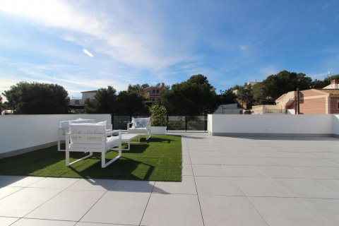 Villa à vendre Pinar De Campoverde, Alicante, Espagne, 3 chambres, 102 m2 No. 19345 - photo 3