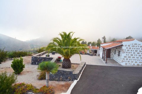 Finca à vendre à Granadilla de Abona, Tenerife, Espagne, 2 chambres, 80 m2 No. 24367 - photo 10
