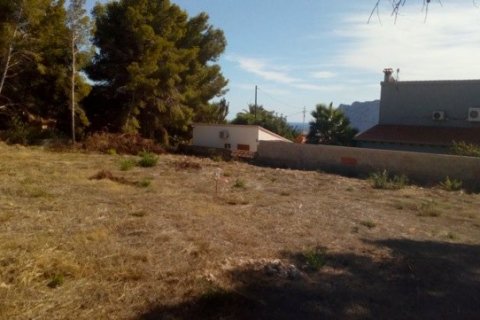 Land plot à vendre à Calpe, Alicante, Espagne, 2000 m2 No. 24951 - photo 3