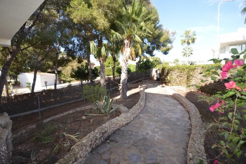 Villa à vendre à Villamartin, Alicante, Espagne, 3 chambres, 373 m2 No. 19365 - photo 3