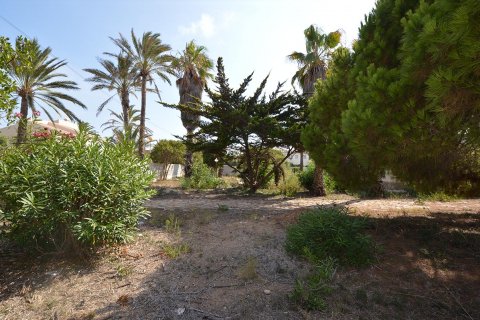 Land plot à vendre à Cabo Roig, Alicante, Espagne, 1533 m2 No. 19342 - photo 7