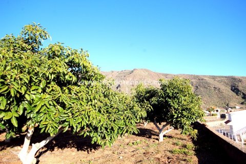 Finca à vendre à Puerto de Santiago, Tenerife, Espagne, 2 chambres, 62 m2 No. 24638 - photo 1