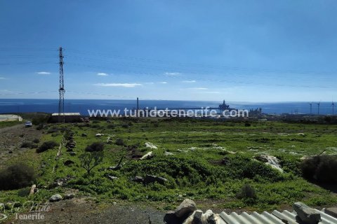Land plot à vendre à Granadilla de Abona, Tenerife, Espagne, 44400 m2 No. 24662 - photo 2