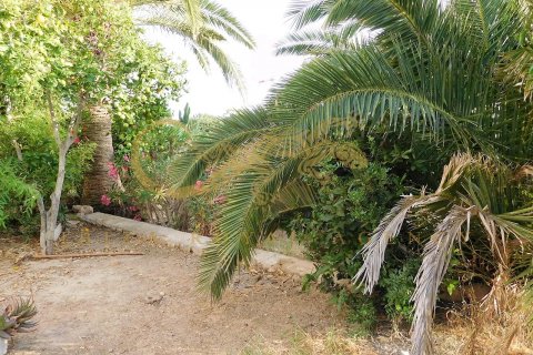 Duplex à vendre à Talamanca, Ibiza, Espagne, 2 chambres, 92 m2 No. 30823 - photo 8