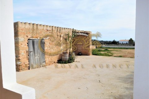 Villa à vendre à Cap De Barbaria, Formentera, Espagne, 3 chambres, 135 m2 No. 30850 - photo 7
