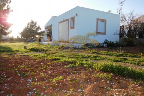 Land plot à vendre à San Jordi De Ses Salines, Ibiza, Espagne, 5 chambres, 2050 m2 No. 30795 - photo 12