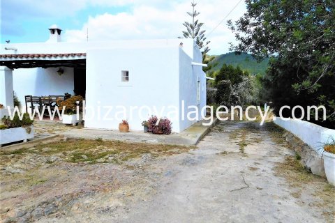 Villa à vendre à Santa Gertrudis De Fruitera, Ibiza, Espagne, 5 chambres, 500 m2 No. 30865 - photo 7