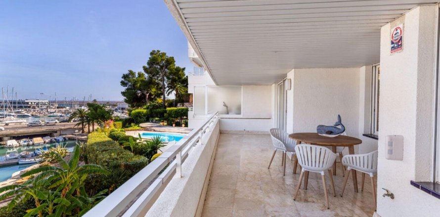 Apartment à Palma de Majorca, Mallorca, Espagne 3 chambres, 204 m2 No. 31649