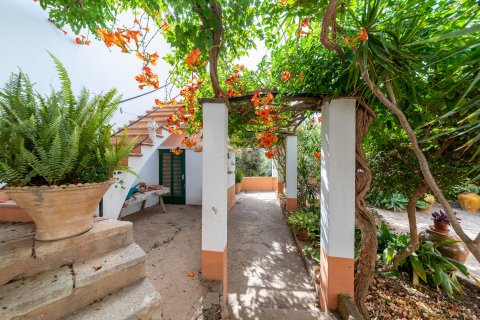 Townhouse à vendre à Andratx, Mallorca, Espagne, 7 chambres, 600 m2 No. 32829 - photo 13