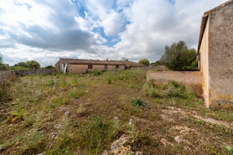 Finca à vendre à Lloret De Vistalegre, Mallorca, Espagne, 10 chambres, 920 m2 No. 32872 - photo 17