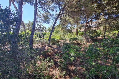 Land plot à vendre à Nova Santa Ponsa, Mallorca, Espagne, 1150 m2 No. 32237 - photo 3