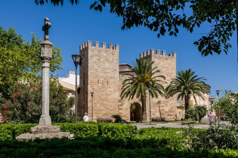 Land plot à vendre à Alcudia, Mallorca, Espagne, 4 chambres, 35874 m2 No. 32397 - photo 5