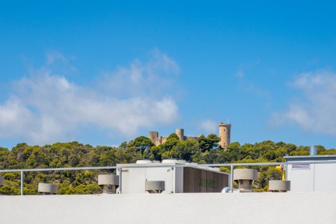 Penthouse à vendre à Palma de Majorca, Mallorca, Espagne, 5 chambres, 219 m2 No. 33664 - photo 19