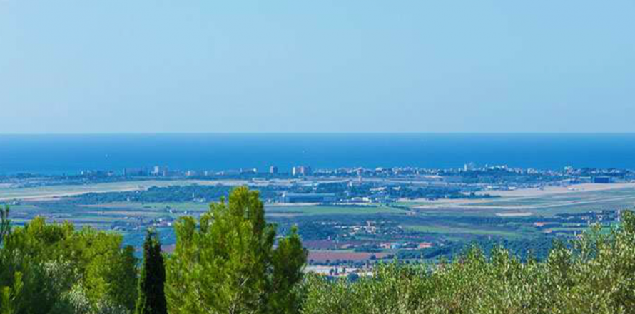 Land plot à Puntiro, Mallorca, Espagne 15215 m2 No. 32858