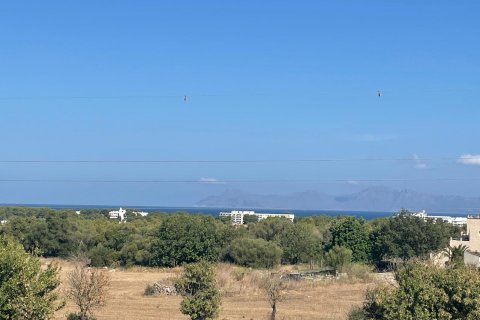 Land plot à vendre Alcudia, Mallorca, Espagne, 1 chambre, 270046 m2 No. 32510 - photo 1