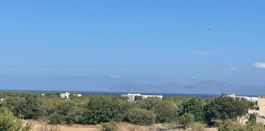 Land plot Alcudia, Mallorca, Espagne 1 chambre, 270046 m2 No. 32510