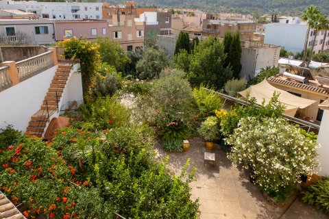 Townhouse à vendre à Andratx, Mallorca, Espagne, 7 chambres, 600 m2 No. 32829 - photo 17
