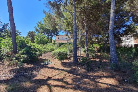 Land plot à vendre à Nova Santa Ponsa, Mallorca, Espagne, 1150 m2 No. 32237 - photo 4