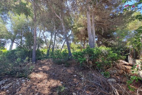 Land plot à vendre à Nova Santa Ponsa, Mallorca, Espagne, 1150 m2 No. 32237 - photo 2