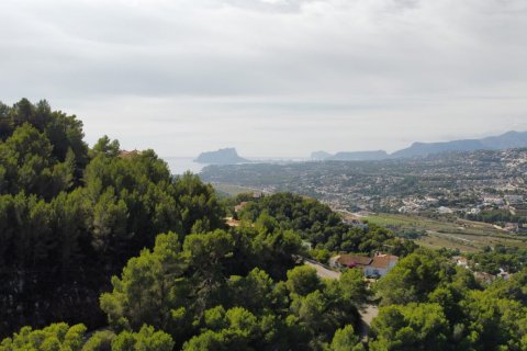 Land plot à vendre à Moraira, Alicante, Espagne, 1610 m2 No. 34114 - photo 6