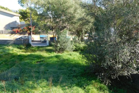 Land plot à vendre à Palmanova, Mallorca, Espagne, 1295 m2 No. 32834 - photo 2
