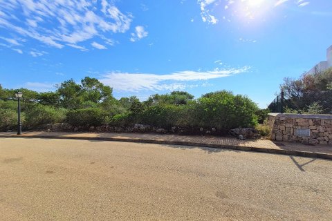 Land plot à vendre Cala D'or, Mallorca, Espagne, 1000 m2 No. 32234 - photo 3