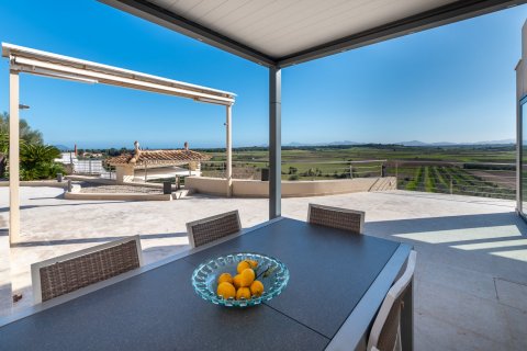 Villa à vendre à Muro, Mallorca, Espagne, 3 chambres, 404 m2 No. 36186 - photo 11