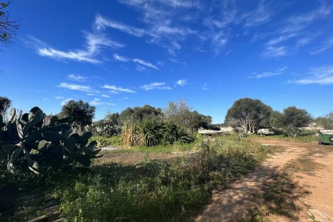 Land plot à vendre à Ses Salines, Mallorca, Espagne, 2490 m2 No. 36745 - photo 3