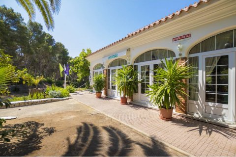 Commercial property à vendre à Es Mercadal, Menorca, Espagne, 6 chambres, 698 m2 No. 23777 - photo 2