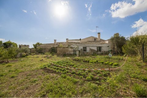 House à vendre Alaior, Menorca, Espagne, 10 chambres, 548 m2 No. 23865 - photo 2