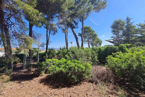 Land plot à vendre à Nova Santa Ponsa, Mallorca, Espagne, 1150 m2 No. 32237 - photo 16