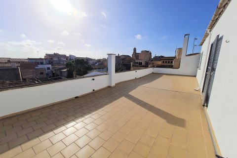 Townhouse à vendre à Llucmajor, Mallorca, Espagne, 8 chambres, 845 m2 No. 36834 - photo 13