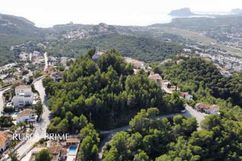 Land plot à vendre à Moraira, Alicante, Espagne, 1610 m2 No. 39417 - photo 6