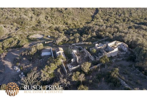 Finca à vendre Mahon, Menorca, Espagne, 5 chambres, 487 m2 No. 11103 - photo 16