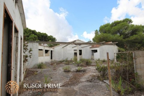 Commercial property à vendre à Es Mercadal, Menorca, Espagne, 3254550 m2 No. 39224 - photo 3