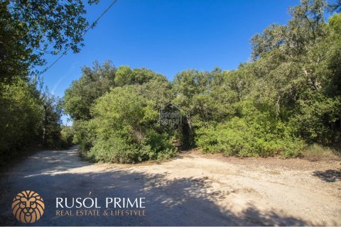 Finca à vendre à Es Mercadal, Menorca, Espagne, 3 chambres, 92 m2 No. 39072 - photo 5