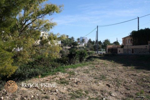 Land plot à vendre à Calpe, Alicante, Espagne, 1840 m2 No. 39367 - photo 1