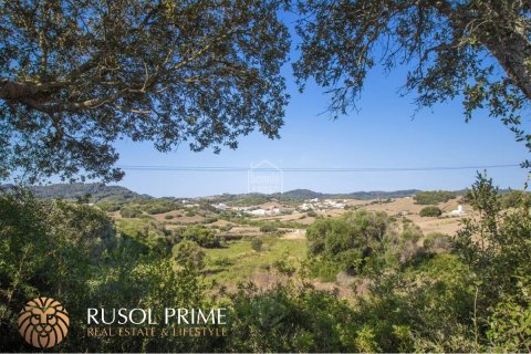 Finca à vendre à Es Mercadal, Menorca, Espagne, 3 chambres, 92 m2 No. 39072 - photo 10