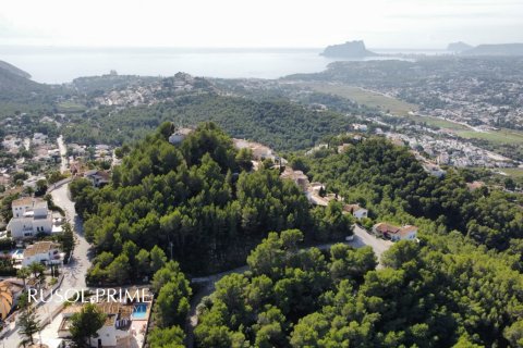 Land plot à vendre à Moraira, Alicante, Espagne, 1610 m2 No. 39417 - photo 10