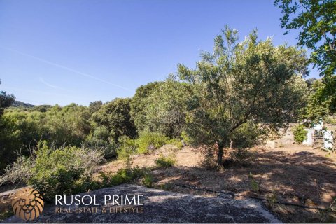 Finca à vendre à Es Mercadal, Menorca, Espagne, 3 chambres, 92 m2 No. 39072 - photo 7