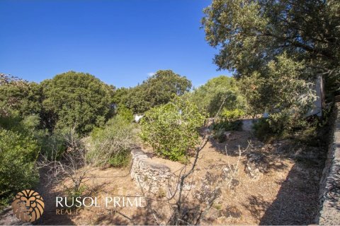 Finca à vendre à Es Mercadal, Menorca, Espagne, 3 chambres, 92 m2 No. 39072 - photo 6