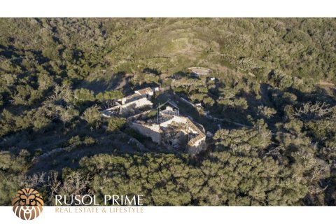 Finca à vendre Mahon, Menorca, Espagne, 5 chambres, 487 m2 No. 11103 - photo 13