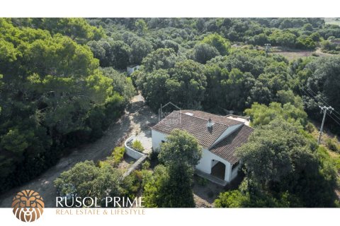 Finca à vendre à Es Mercadal, Menorca, Espagne, 3 chambres, 92 m2 No. 39072 - photo 3